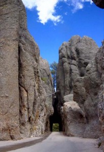 South Dakota Needles Highway